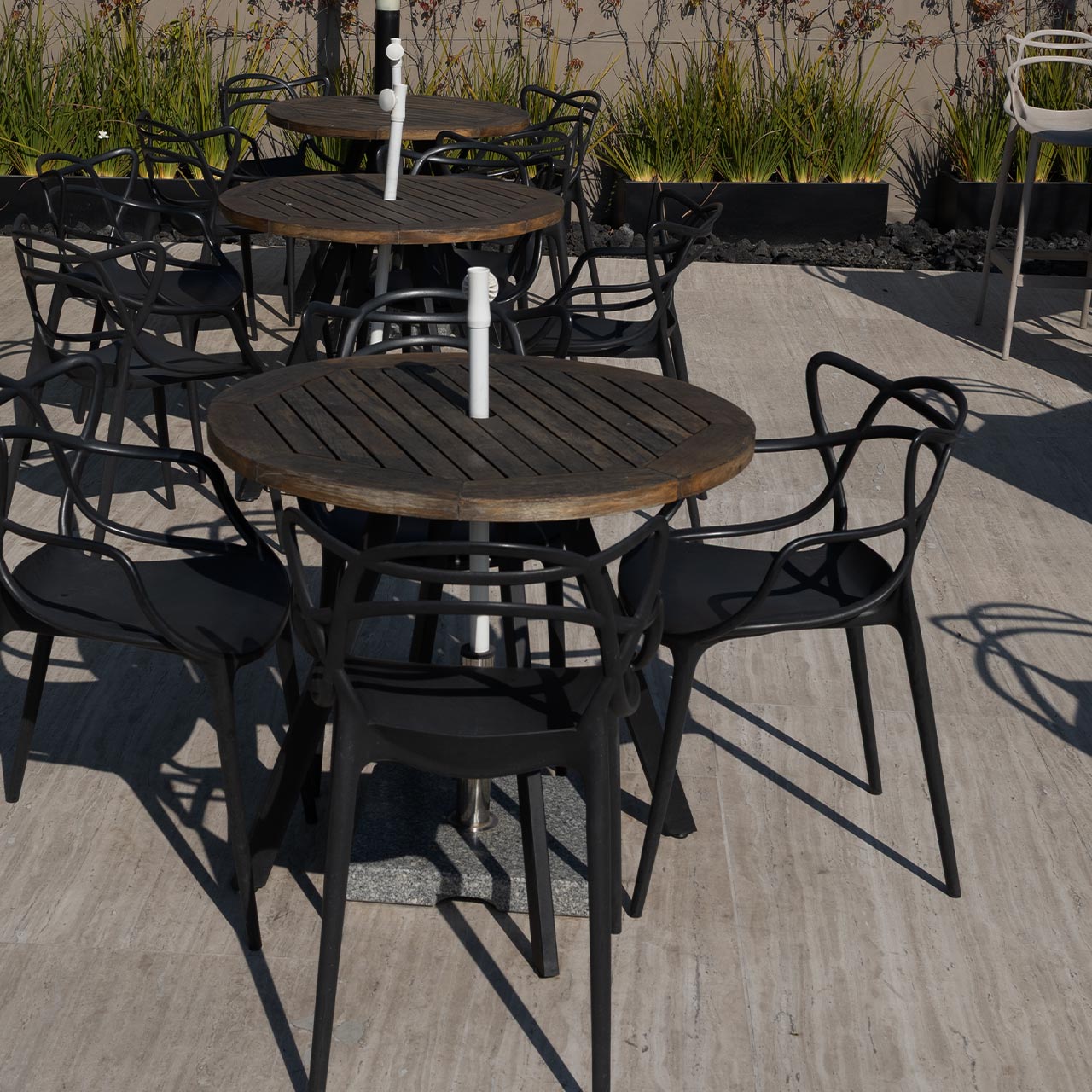 Roof Garden