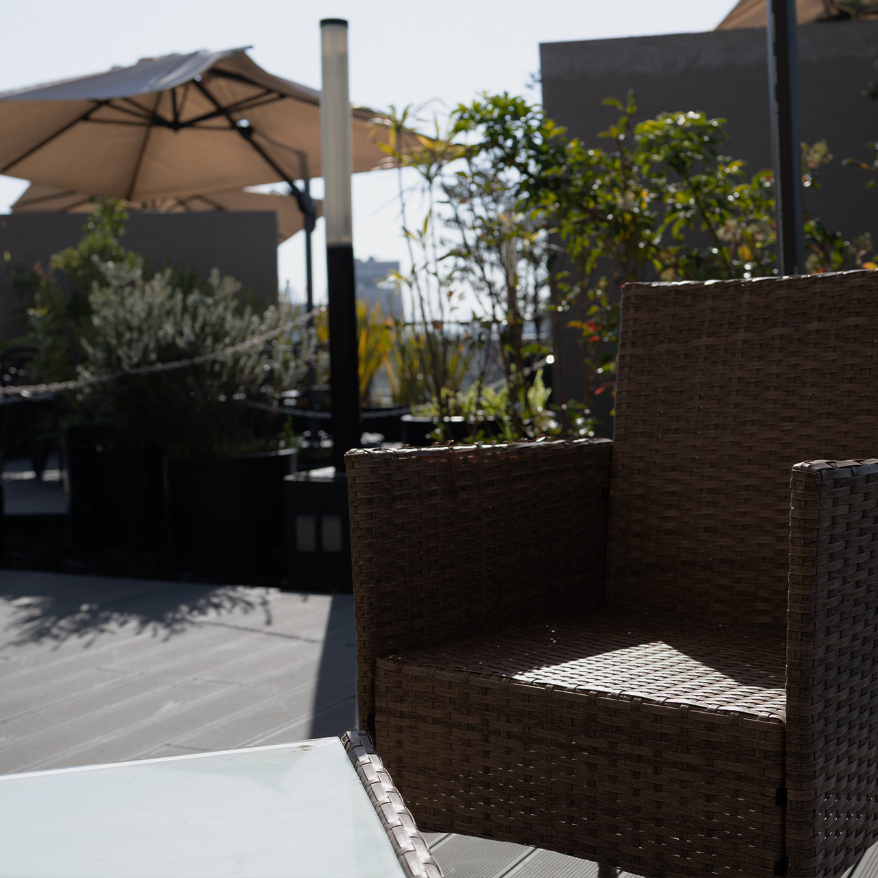 Roof Garden