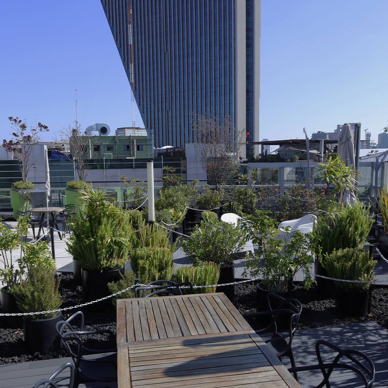 Oficinas con Roof Garden